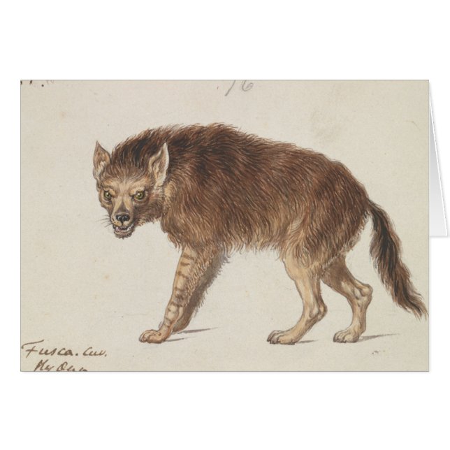 Charles Hamilton Smith - The Brown Hyena (Vorderseite (Horizontal))