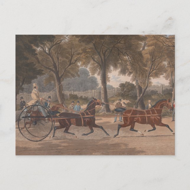 Charles Hunt - Extraordinary Trotting Match Postkarte (Vorderseite)
