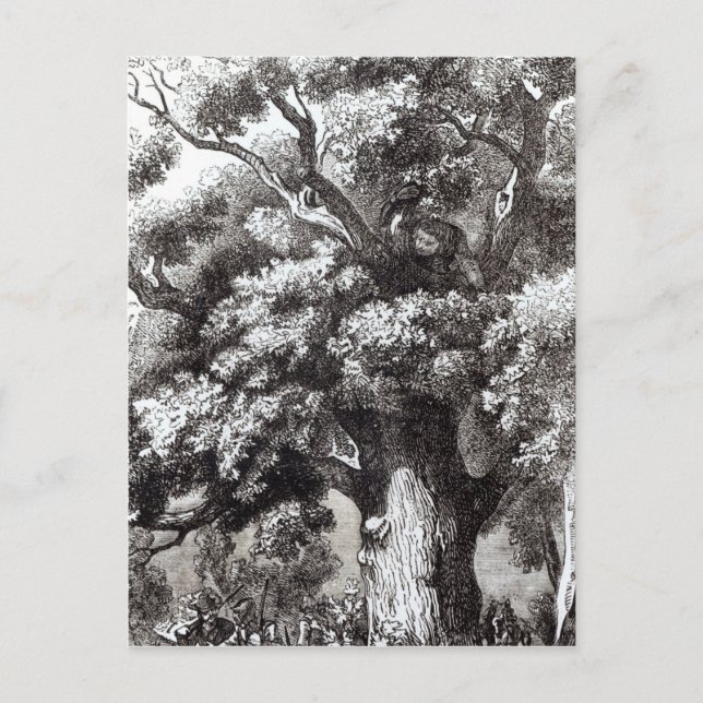Charles II versteckt im Eichenbaum Postkarte (Vorderseite)