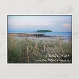Charles Island Postkarte