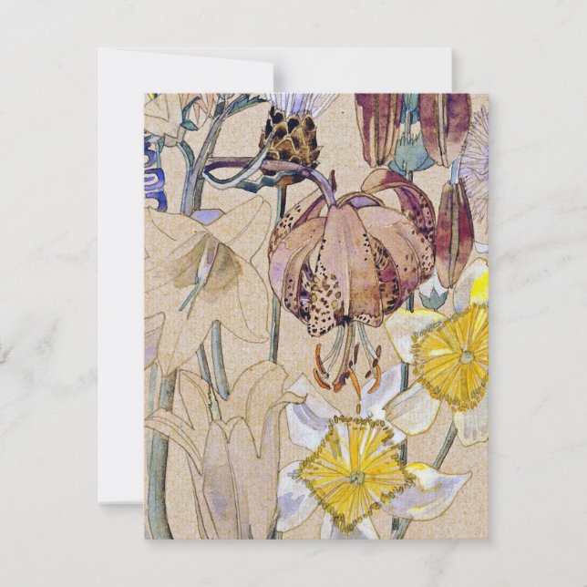 Charles Rennie Mackintosh - Mont Louis - Blume (Vorderseite)