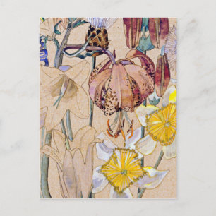 Charles Rennie Mackintosh - Mont Louis - Blume Postkarte