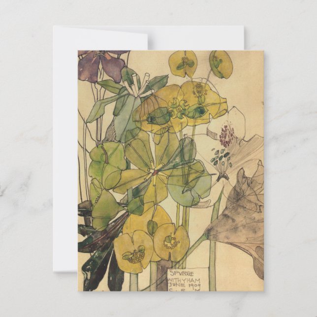 Charles Rennie Mackintosh - Spurges With Yham 1909 Dankeskarte (Vorderseite)