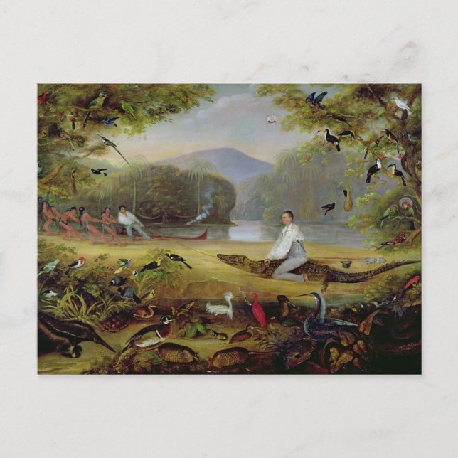 Charles Waterton, der einen Kaiman gefangen nimmt, Postkarte (Vorderseite)