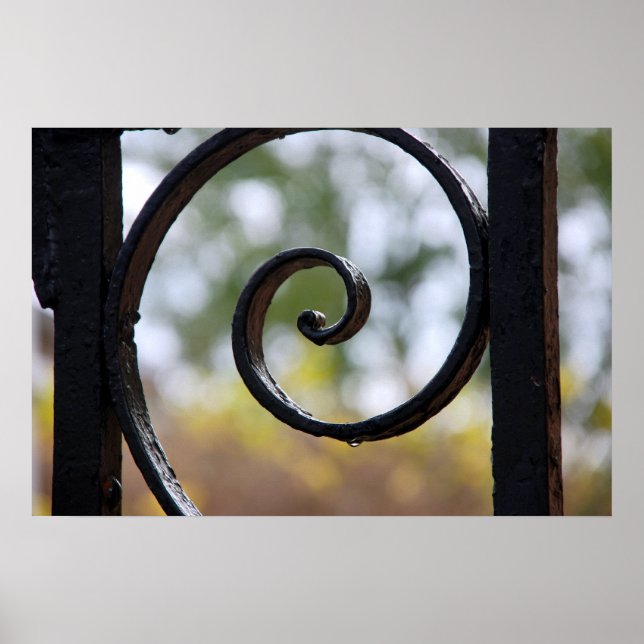 Charleston Iron Gate Detail Poster (Vorne)