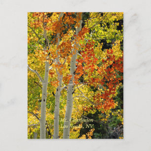 Charleston, Las Vegas, NV Aspens Postcard Postkarte