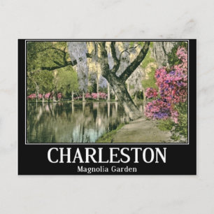 Charleston, Magnolia Gärten, Vintag Postkarte
