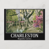 Charleston, Magnolien-Gärten, Vintage