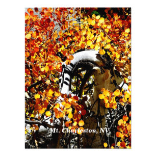 Charleston NV Herbst Aspen Foto Print