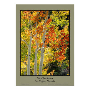 Charleston NV Herbstaspekt 20"x28" Poster