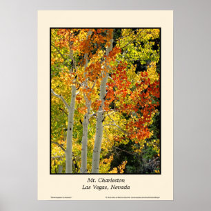 Charleston NV Herbstfall Farbe Aspen Kunst Poster
