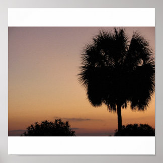 Charleston Palm Poster