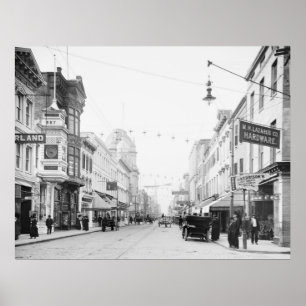 Charleston, SC, 1910 Poster