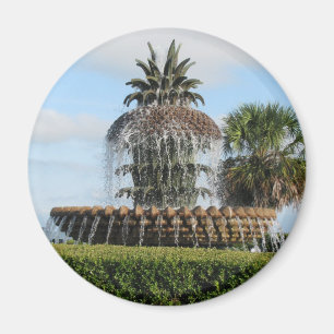 Charleston SC Ananas Fountain Magnet