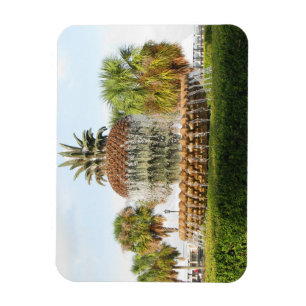 Charleston SC Ananas Fountain, Waterfront Park Magnet