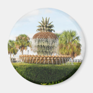 Charleston SC Ananas Fountain, Waterfront Park Magnet