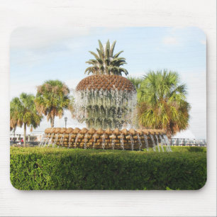 Charleston SC Ananas Fountain, Waterfront Park Mousepad