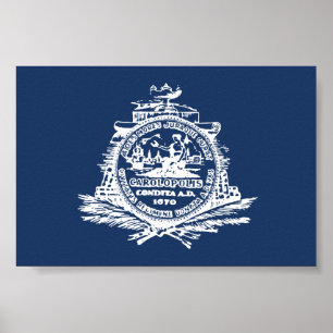 Charleston, SC-Flagge Poster