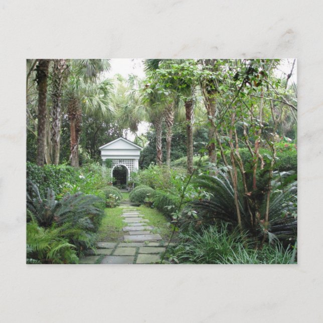Charleston SC Palmettos Garden & Gazebo Postcard Postkarte (Vorderseite)