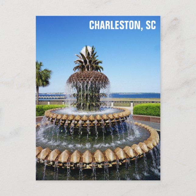 Charleston South Carolina Ananas Fountain Postkarte (Vorderseite)