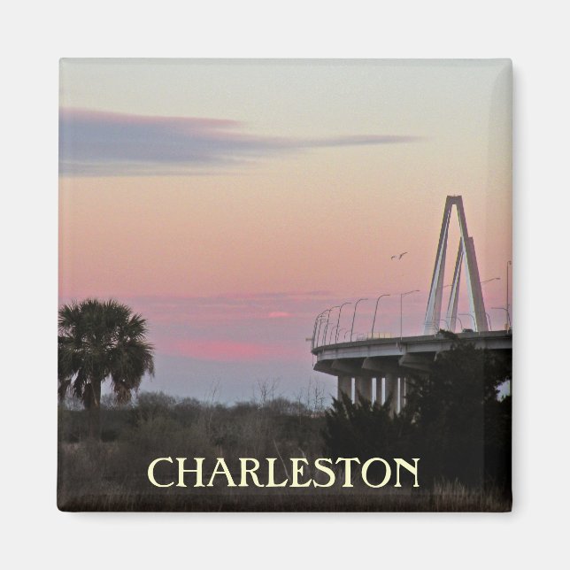 Charleston Souvenir Foto Magnet (Vorne)