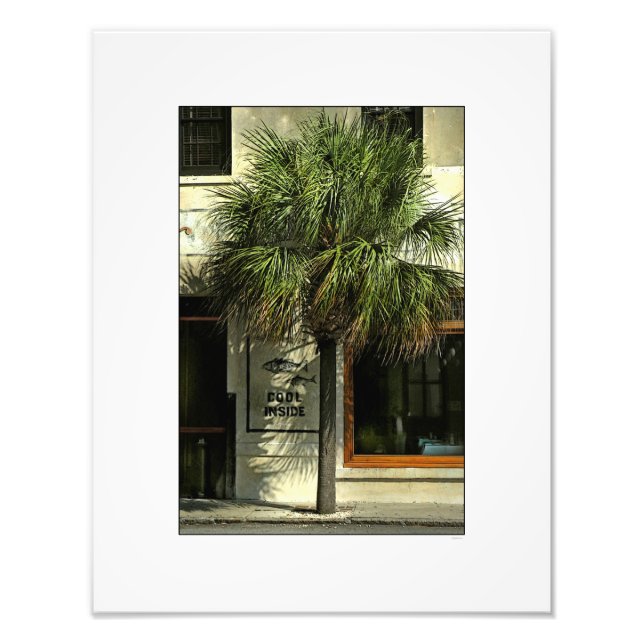 Charleston Street mit Palmetto Tree Fotodruck (Vorne)