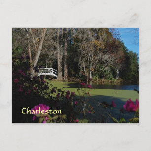 Charleston Swamp Garden Postcard Postkarte