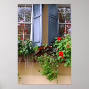 Charleston Window Box Poster