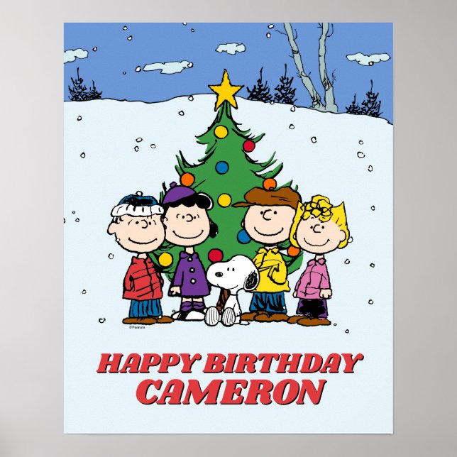 Charlie Brown und Freunde Winter zum Geburtstag Poster (Vorne)