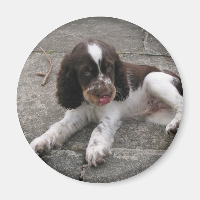 Charlie der Springer! Magnet (Vorne)