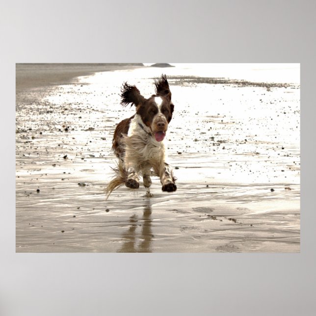 Charlie der Springer! Poster (Vorne)