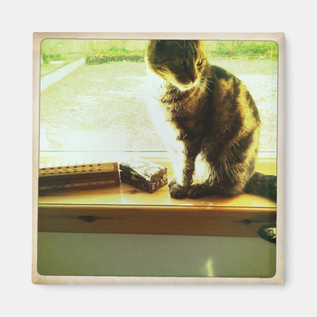 Charlie im Fenster Magnet (Vorne)