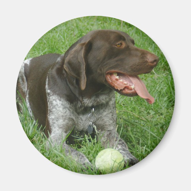 Charlie Magnet (Vorne)