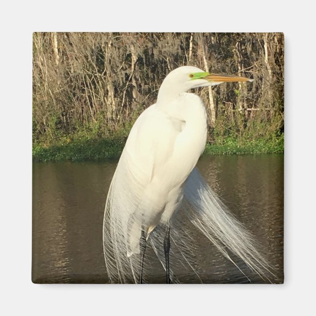 Charlie Magnet (Vorne)