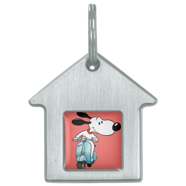 Charlie on a Scooter, by Natasha Us   Tiermarke (Vorderseite)