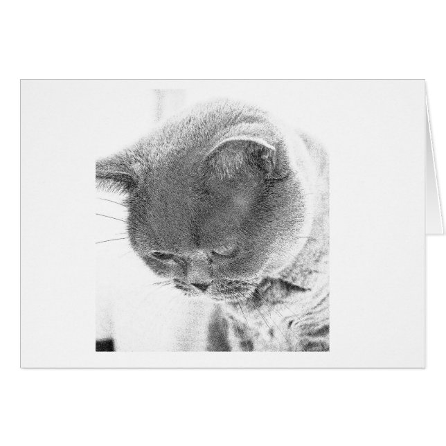 Charlie: Skizze vom Foto einer britischen blauen (Vorderseite (Horizontal))