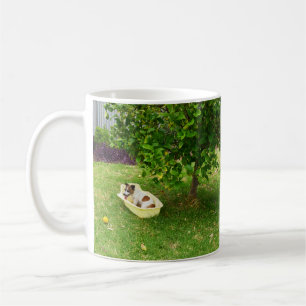 Charlie The Fox Terrier Bath Time, Tasse des Kaffe