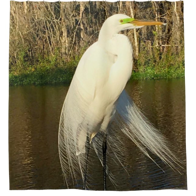Charlie The Great Egret Duschvorhang (Vorderseite)