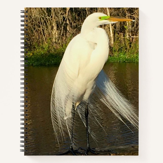 Charlie The Great Egret Notizbuch (Vorderseite)