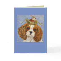 Charlotte der Cavalier mit Carolina-Wren-Karte