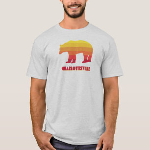 Charlottesville Virginia Rainbow Bear T-Shirt