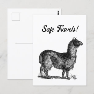 Charmante Lama Sketch, Süße Tier Tinte Zeichnend Postkarte