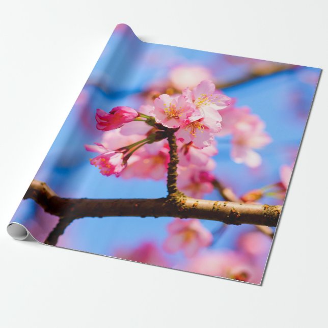 Charmante Schönheit der Sakura-Blume im Frühjahr Geschenkpapier (Ungerollt)
