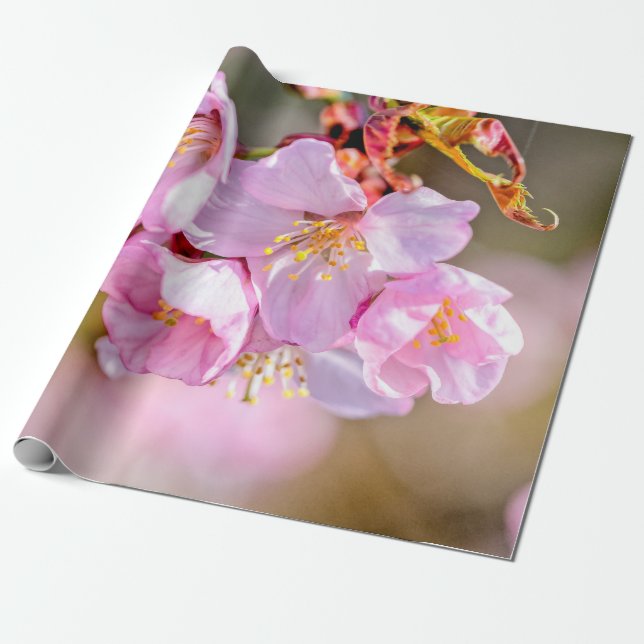 Charmante und Coole Blume der Sakura Geschenkpapier (Ungerollt)
