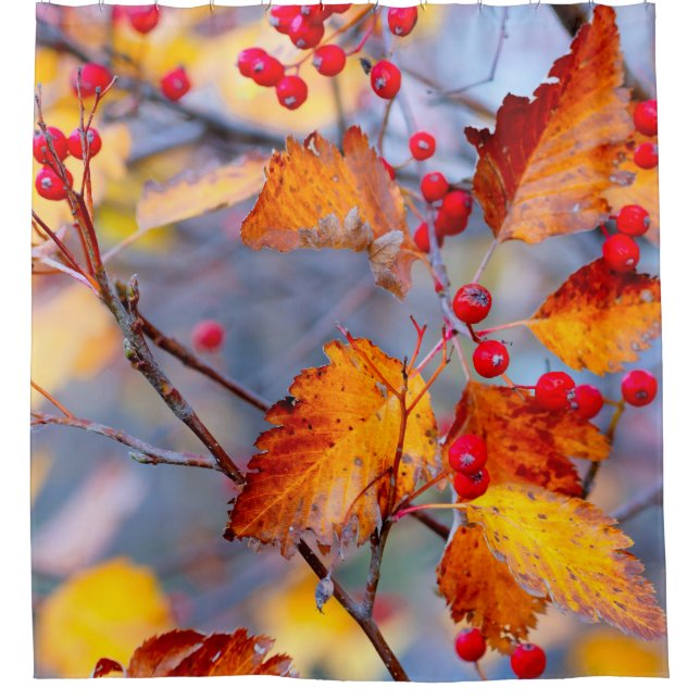 Charmante Waldbeeren im Herbst Duschvorhang (Vorderseite)