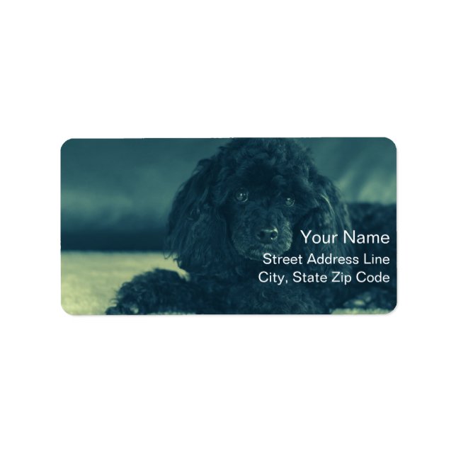 charmanten schwarzen Pudel Adressaufkleber (Vorne)