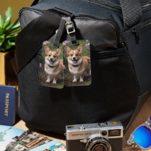 "Charmanter Begleiter: Ein Corgi in einem rosa Ros Gepäckanhänger