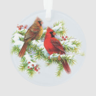 Charmanter Kardinal Polyacryl-Ornament Ornament