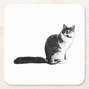 Charmanter Langhaarkatze-Untersetzer Rechteckiger Pappuntersetzer