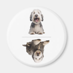 Charmantes Old English Sheepdog Geschirrmagazin Magnet